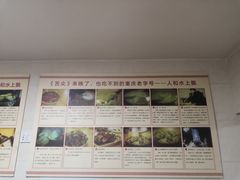 -人和水上飘(第一家店)