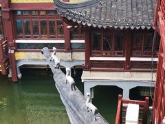 -豫园湖心亭茶楼