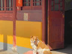 -龙华寺