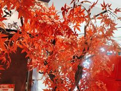 -牛New寿喜烧(闵行龙湖天街店)