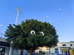 -巨鹏飞梦幻海岸