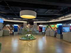 -皇室假期美食水疗会(春风路店)