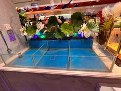 -红透天牛排海鲜自助(长和国际直营店)