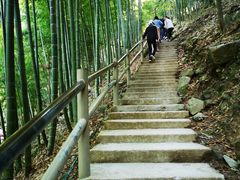 -藏龙百瀑风景区