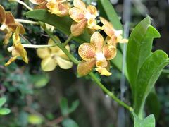 -维兹卡亚博物馆及花园