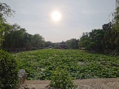 -莲池书院博物馆