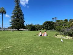 -墨尔本皇家植物园