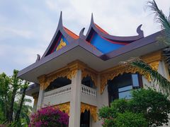 -云南勐巴娜西珍奇园