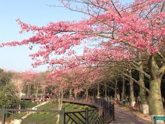 -广州大学华软软件学院新闻中心