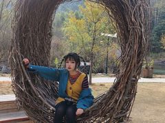 -龙湾潭国家森林公园