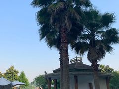 -宁波九龙湖开元度假村
