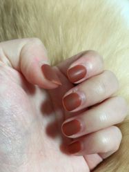 -MONICA BOX美甲美睫