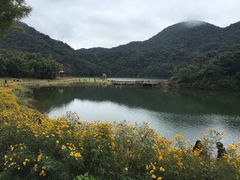 -广州市石门国家森林公园