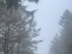 -五女山景区