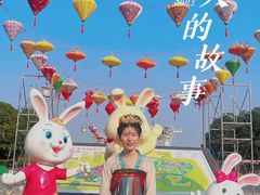 -金卉庄园