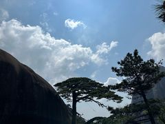 -高一点·徽味酥饼王·黄山烧饼