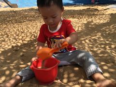 -永定河休闲森林公园