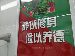 -合肥火车站(地铁站)