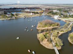 -杭州湾海上花田景区