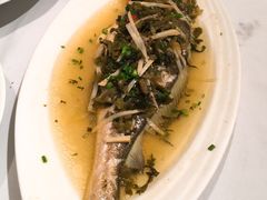 -老洋房花园饭店(绍兴路店)