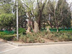 -双榆树公园