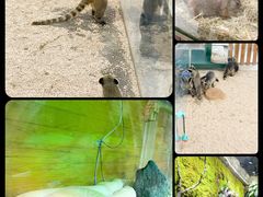 -海合安武汉极地海洋公园