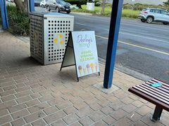 -Dooley's Premium Ice Cream