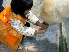 -上海大自然野生昆虫馆(东方明珠·爬宠昆虫探索中心)