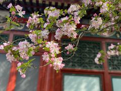 -海棠花溪(元大都城垣遗址公园)