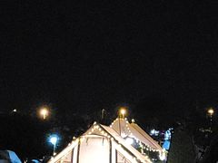 -春花秋色城市公园