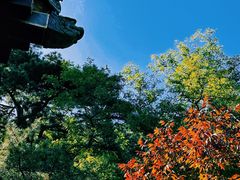 -香山公园