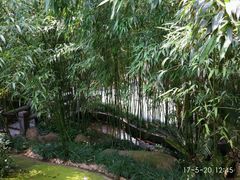 -竹吟山房