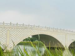 -西京湾花海