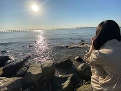 -宝安西湾红树林湿地公园