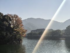 -蒋氏故居