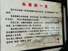 -淞南镇社区卫生服务中心