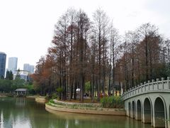 -四海公园(南山区)
