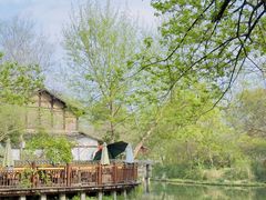 -西溪国家湿地公园