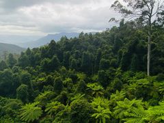 -悉尼蓝山三姐妹峰