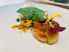 香煎深海扇贝-93Club·法餐厅