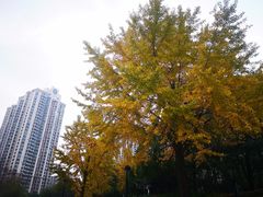 -苏州河梦清园环保主题公园