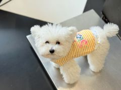 -Oh My Dog宠物沙龙(伊珊娜皮毛护理店)