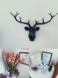 -联合丽格·张菡丽格医疗美容