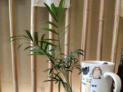 -小茶闲舍·观景商务茶馆(广州塔店)