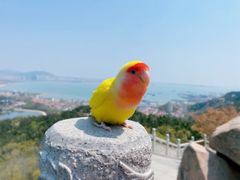 -石岛赤山风景区