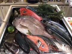 -森味薪火烧•烧鸟居酒屋•日本料理(望京店)