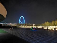 -南京眼步行桥