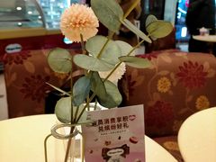 -哈根达斯(石家庄北国店)