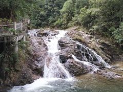 -九龙江国家森林公园