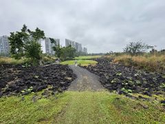 -观澜湖高尔夫球会